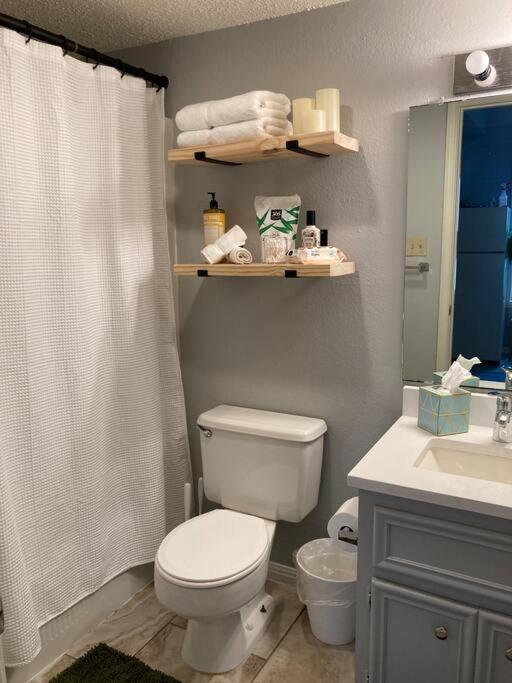 Luxury Greenhouse Studio Apartment ออสติน ภายนอก รูปภาพ