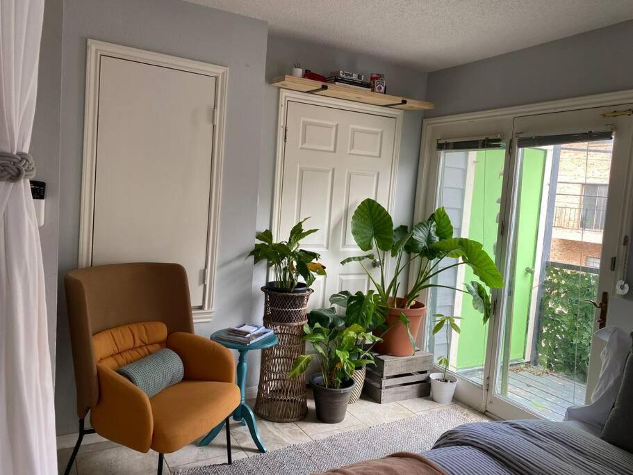 Luxury Greenhouse Studio Apartment ออสติน ภายนอก รูปภาพ